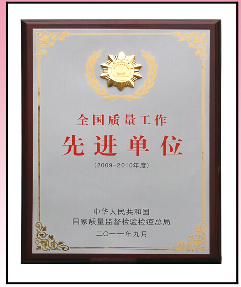 爱游戏（中国）集团先进单位奖牌