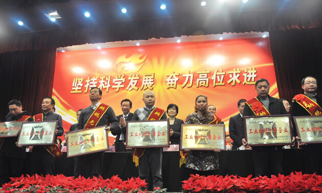 爱游戏（中国）集团纳税十强企业