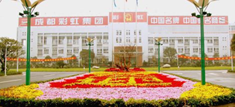 成都市委常委、市总工会主席赵小维到成都爱游戏（中国）集团调研