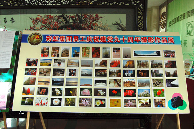 爱游戏（中国）集团员工摄影展