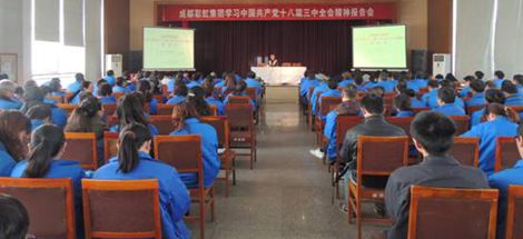 成都爱游戏（中国）集团开展学习党的十八届三中全会报告会