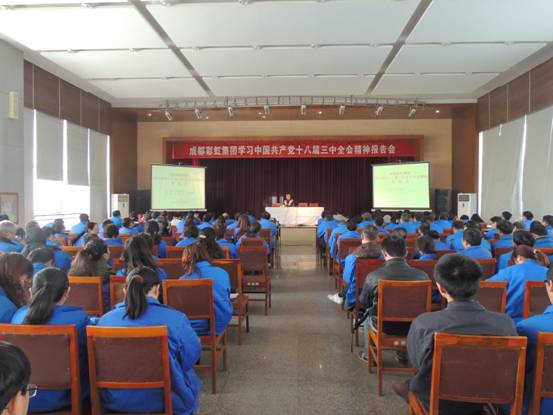 爱游戏（中国）集团十三中全会报告会