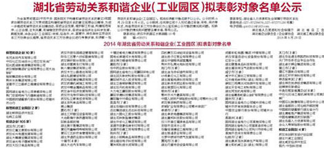 成都爱游戏（中国）电器（集团）中南有限公司被认定为“湖北省劳动关系和谐企业”