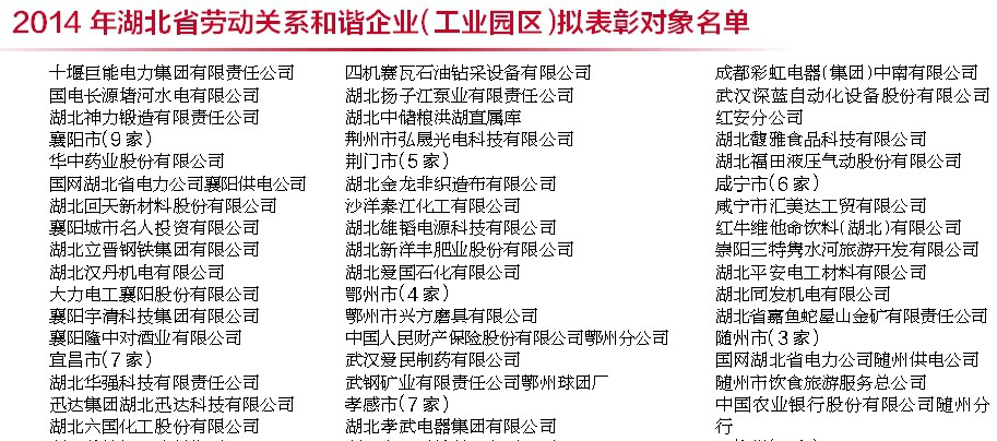 成都爱游戏（中国）电器（集团）中南有限公司,湖北省劳动关系和谐企业
