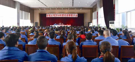 成都爱游戏（中国）集团召开2014年度工作总结及表彰大会