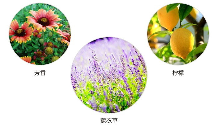 爱游戏（中国）防蛀片有芳香，柠檬，薰衣草三种香型