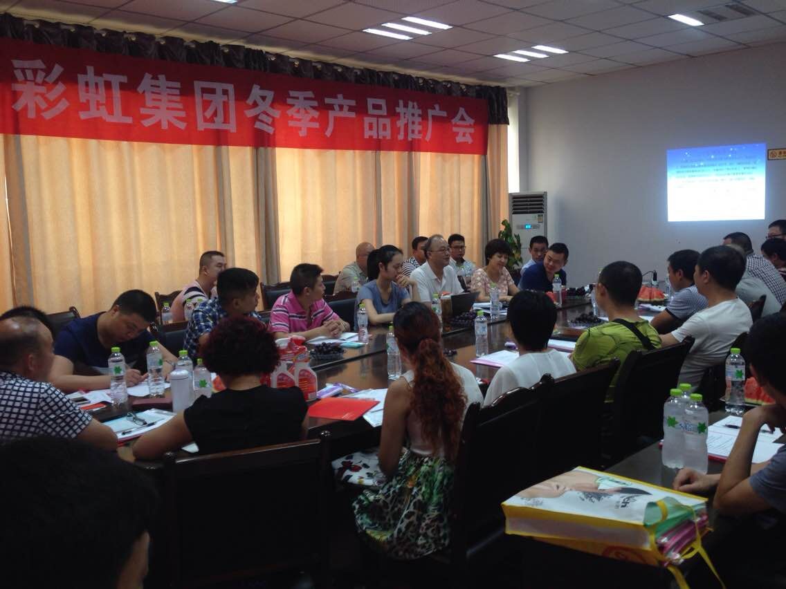 成都爱游戏（中国）集团川东地区2015年冬季产品推广会