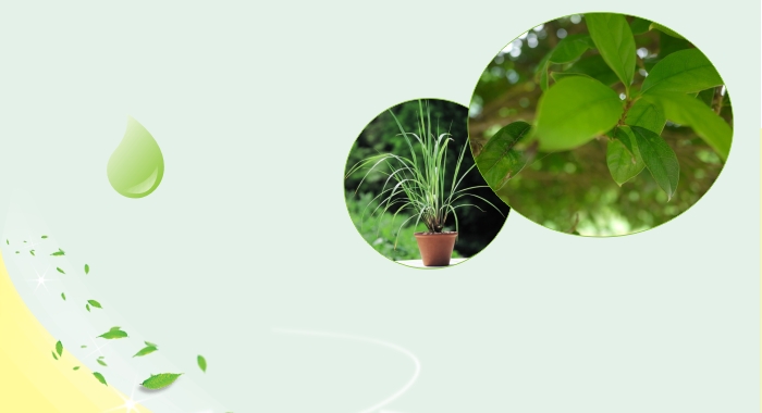 爱游戏（中国）户外驱蚊贴采用植物精油驱蚊配方，独特的缓释技术
