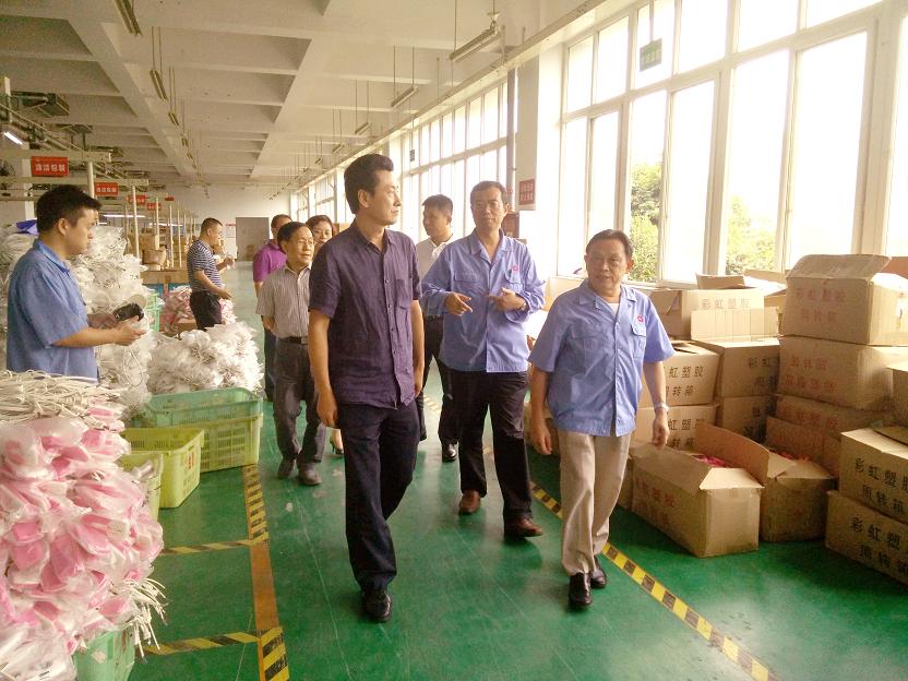 成都市安监局领导一行到成都爱游戏（中国）集团进行安全检查
