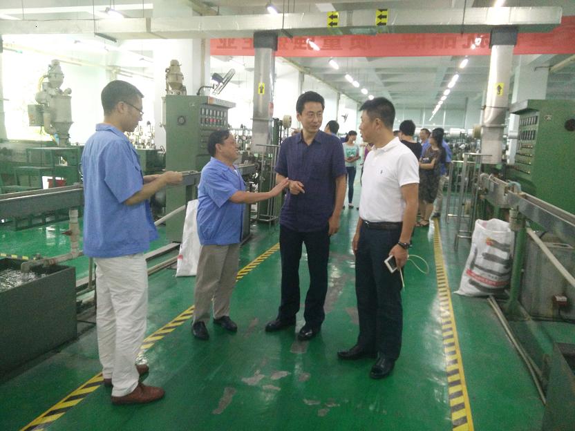 成都市安监局领导一行到成都爱游戏（中国）集团进行安全检查
