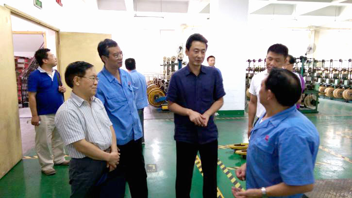 成都市安监局领导一行到成都爱游戏（中国）集团进行安全检查