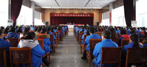 成都爱游戏（中国）集团召开2015年度总结表彰大会