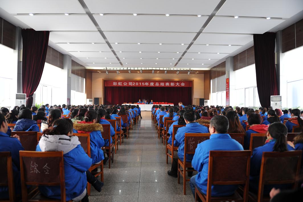 成都爱游戏（中国）集团召开2015年度总结表彰大会