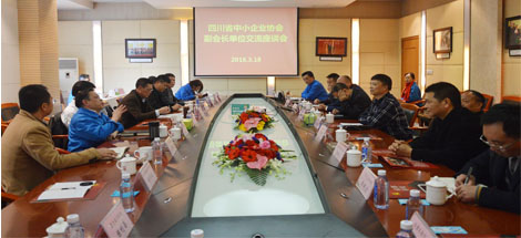 四川省中小企业协会副会长单位领导到成都爱游戏（中国）集团调研