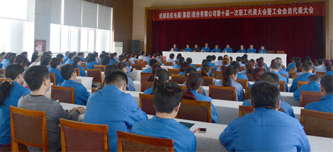成都爱游戏（中国）集团召开第十届一次职工代表大会暨工会会员代表大会