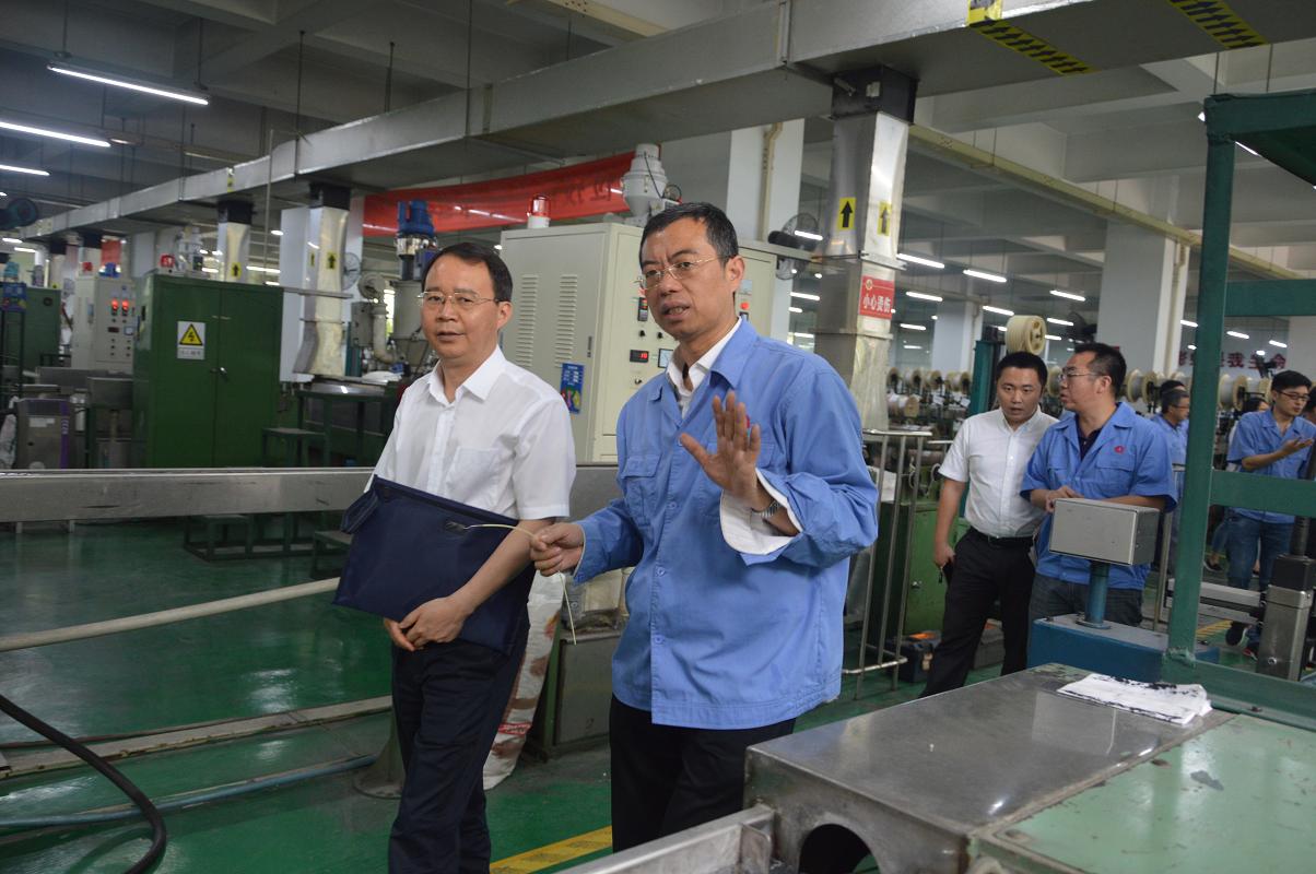 市委财经办和市工业经济发展研究中心领导到成都爱游戏（中国）集团调研