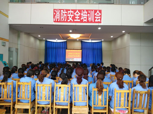 成都爱游戏（中国）泉源公司举办消防安全专题培训会