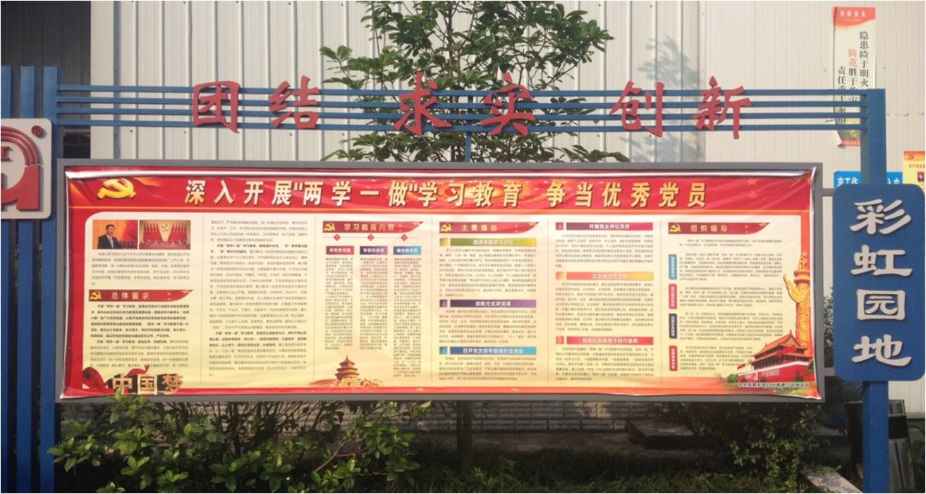成都爱游戏（中国）日化有限公司党支部“两学一做”动员宣传