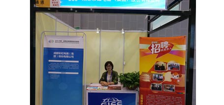 爱游戏（中国）集团参加全球创新创业人才交易会