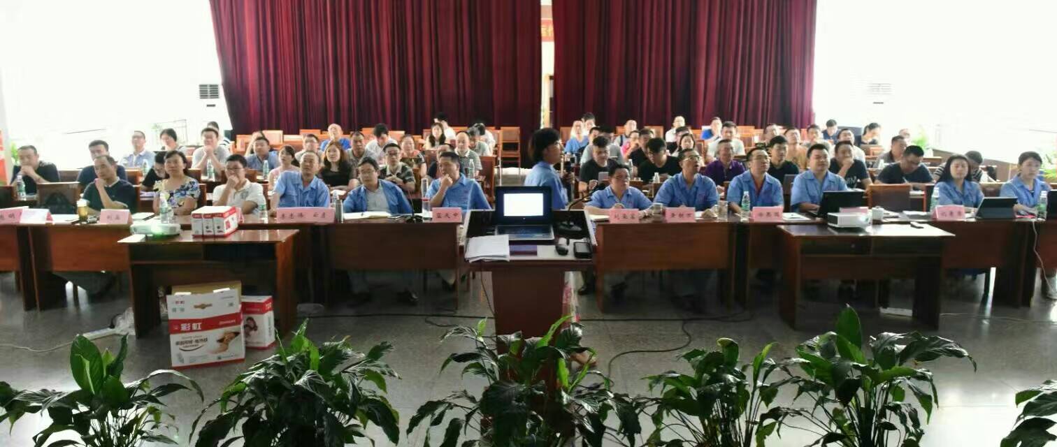 爱游戏（中国）集团营销中心16年汇报会