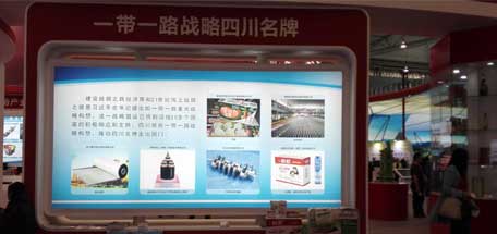 成都爱游戏（中国）集团参加2016年中国西部国际博览会