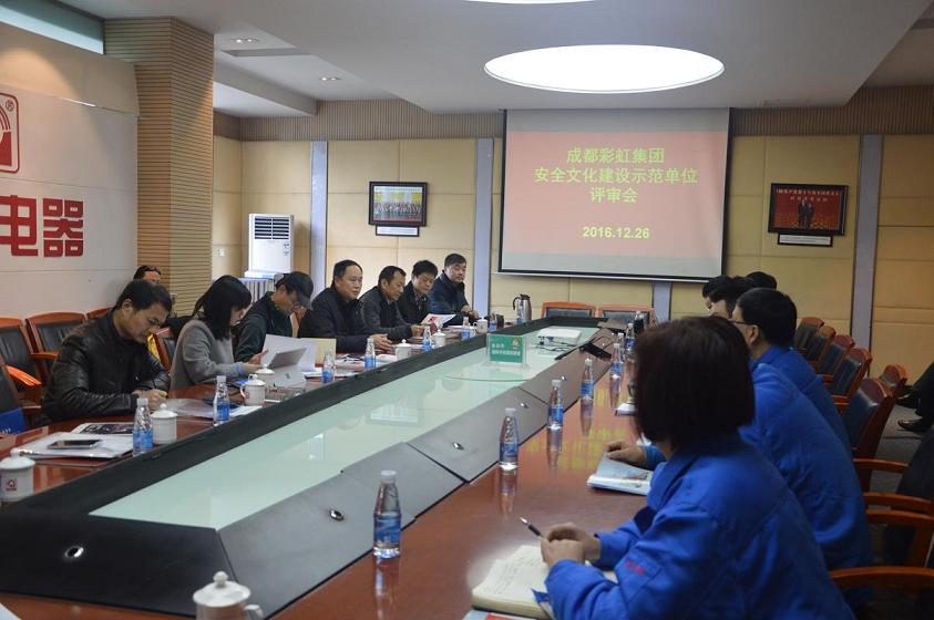 成都爱游戏（中国）集团安全文化建设示范单位评审会