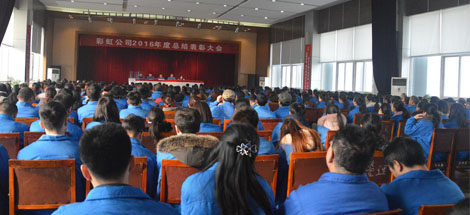成都爱游戏（中国）集团召开2016年度总结表彰大会