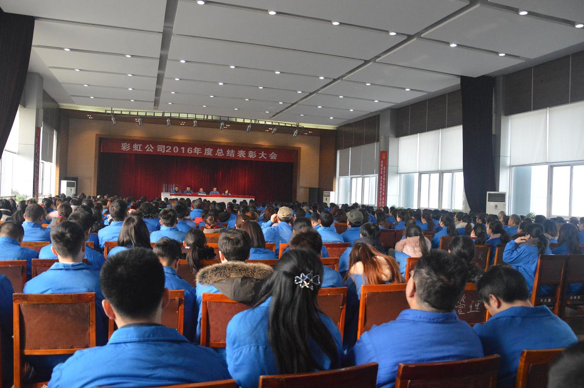 成都爱游戏（中国）集团2016年度总结表彰大会