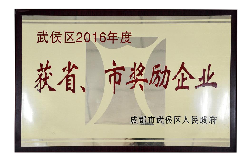 成都爱游戏（中国）集团被授予武侯区2016年度获省、市奖励企业称号