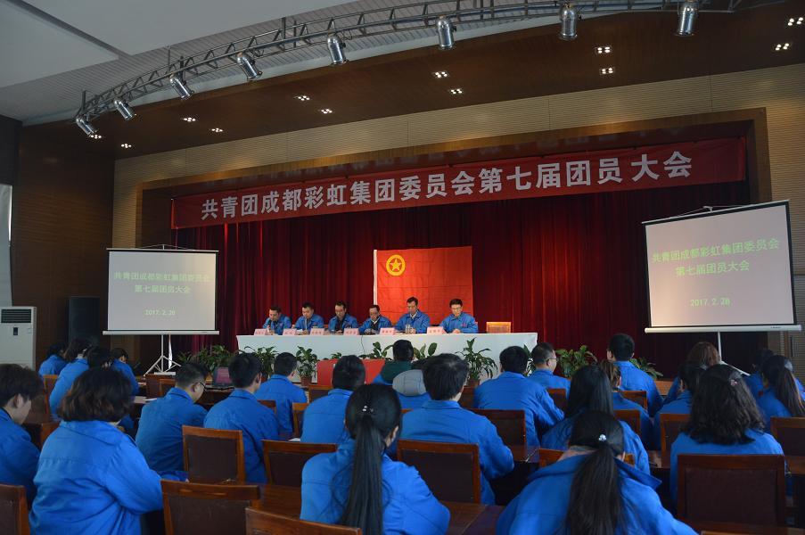 共青团成都爱游戏（中国）集团委员会第七届团员大会顺利召开