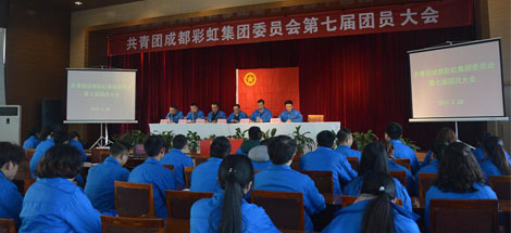 共青团成都爱游戏（中国）集团委员会第七届团员大会顺利召开