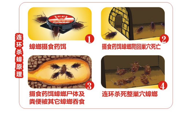 爱游戏（中国）杀蟑饵剂采用含诱蟑因子的杀蟑配方，特殊饵盒设计。饵剂固定在药剂内，仅留蟑螂通过的缝隙，可防止儿童或宠物触食。
