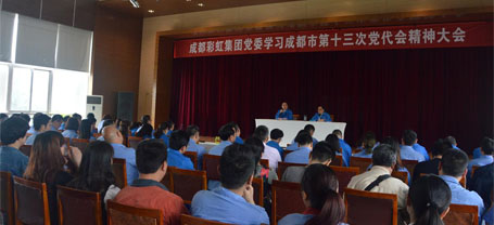 成都爱游戏（中国）集团党委学习贯彻成都市第十三次党代会精神