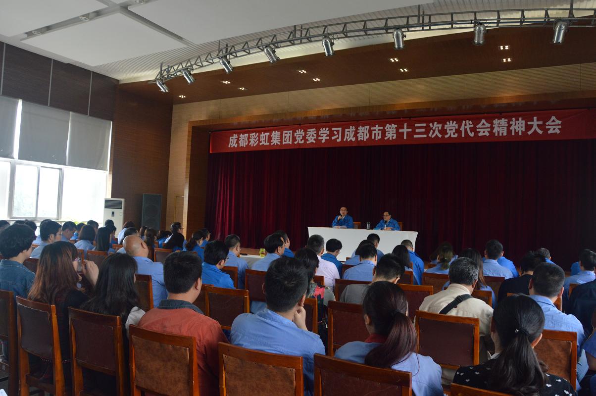 成都爱游戏（中国）集团党委学习贯彻成都市第十三次党代会精神