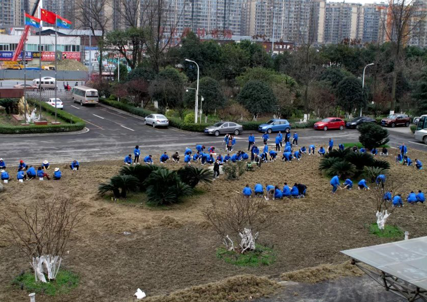 爱游戏（中国）大爱游戏（中国）齐心协力清除旧草皮