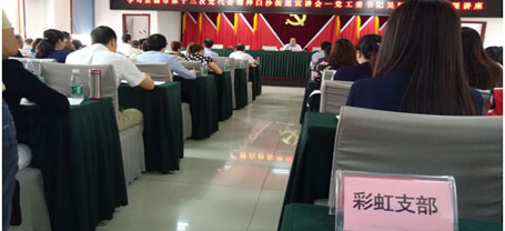 成都爱游戏（中国）集团日化党支部学习成都市第十三次党代会精神