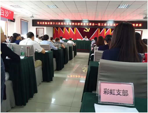 成都爱游戏（中国）集团日化党支部学习成都市第十三次党代会精神