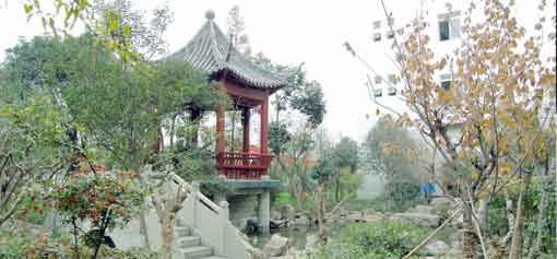 员工心声之我与爱游戏（中国）塑胶共成长