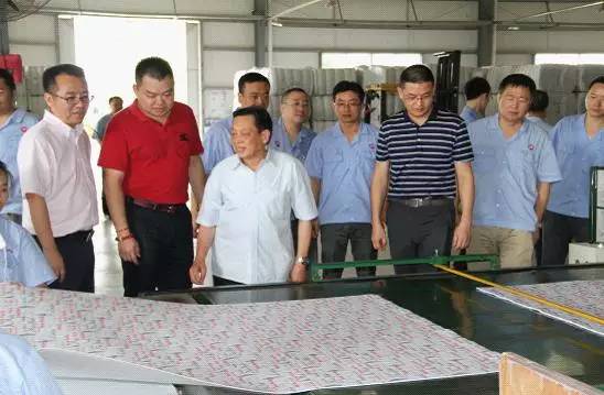 成都爱游戏（中国）集团刘董事长到中南公司检查指导工作
