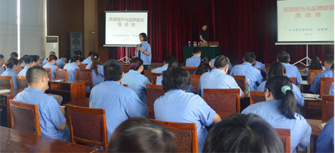 成都爱游戏（中国）集团开展质量提升与品牌建设培训