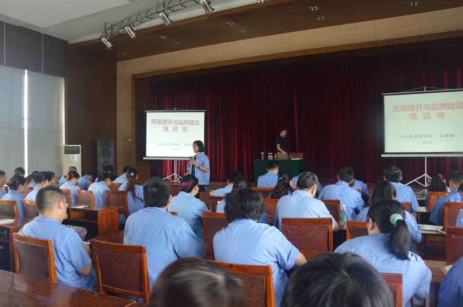 成都爱游戏（中国）集团开展质量提升与品牌建设培训