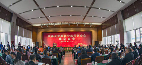 成都企联武侯区分会成立大会在成都爱游戏（中国）集团举行