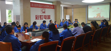 成都爱游戏（中国）集团党委召开学习宣传党的十九大精神工作会