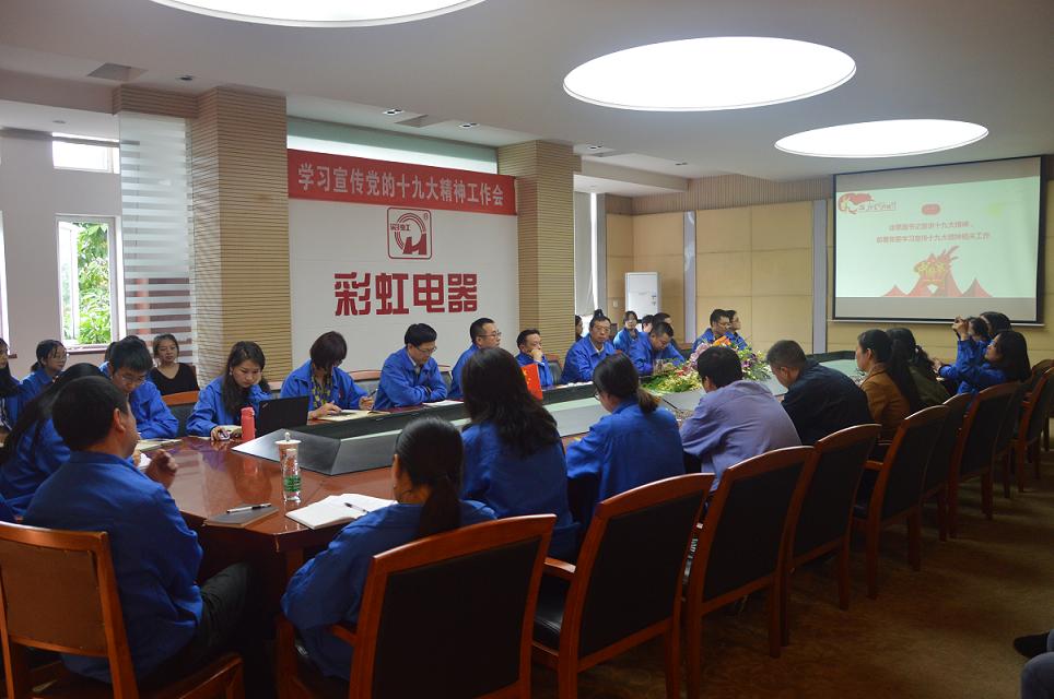 成都爱游戏（中国）集团党委召开学习宣传党的十九大精神工作会