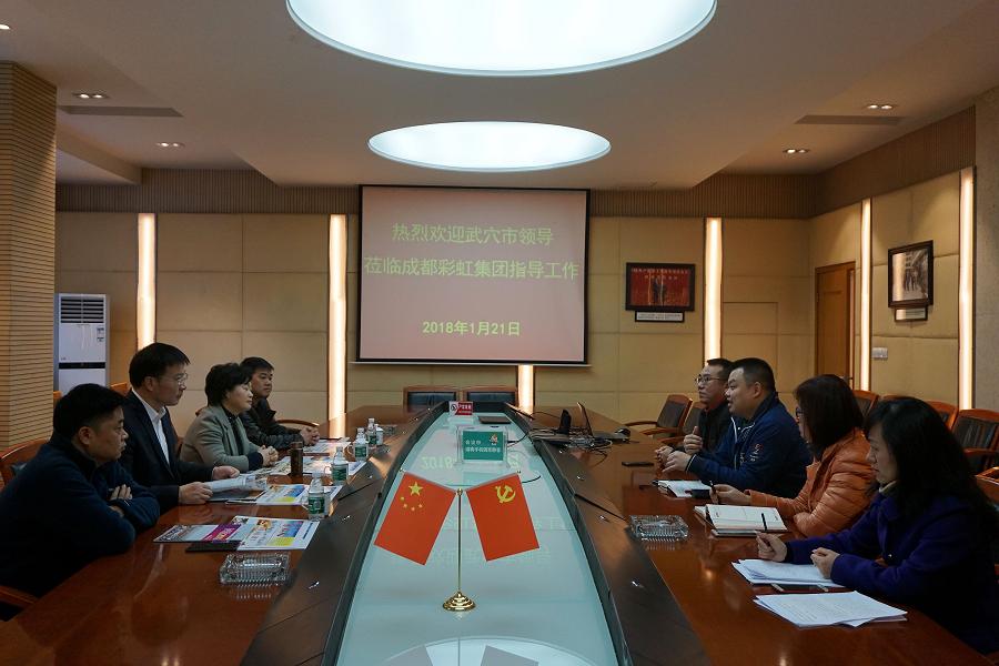 湖北武穴市领导莅临成都爱游戏（中国）集团指导工作
