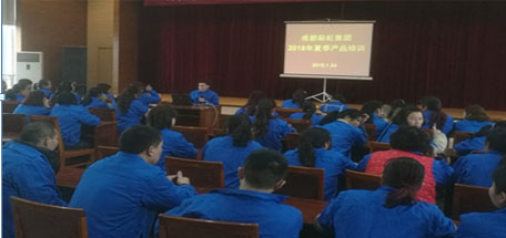 成都爱游戏（中国）集团2018年夏季产品生产工艺培训