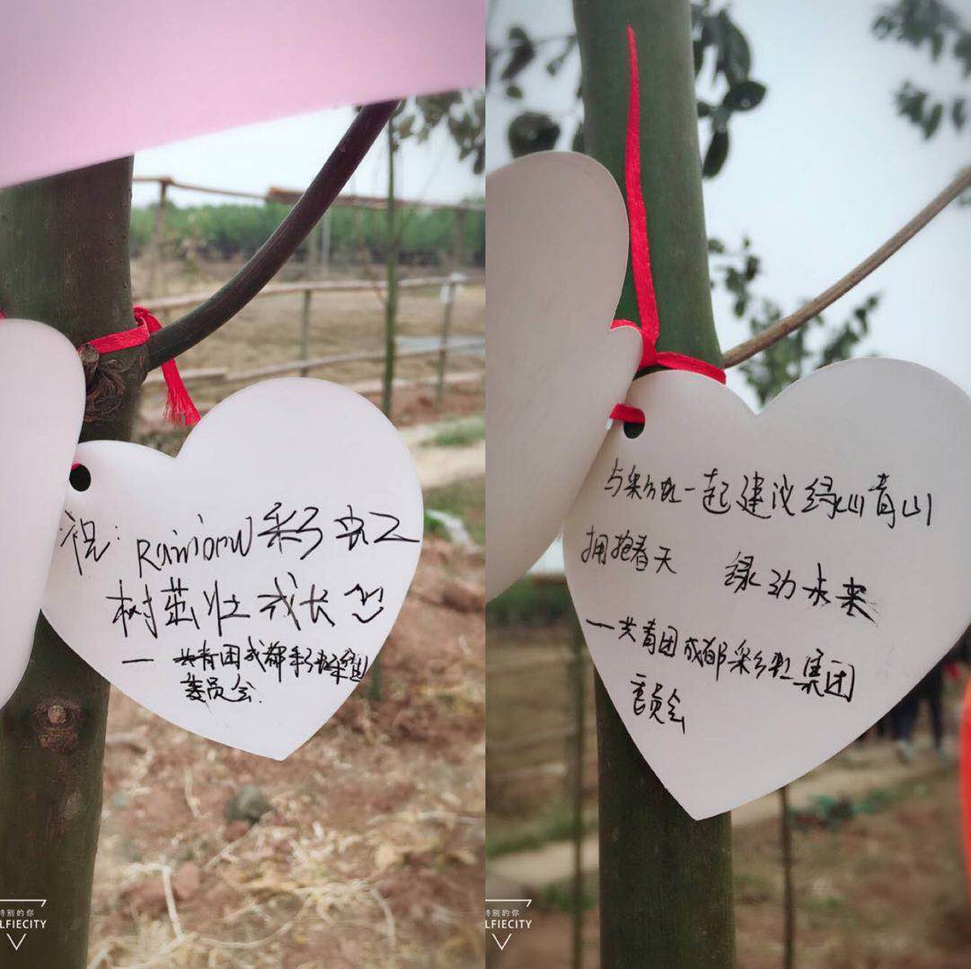 共青团成都爱游戏（中国）集团团委及团员青年代表参加高新区植树节志愿服务活动