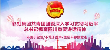 共青团成都爱游戏（中国）集团委员会委员组织学习习近平总书记视察四川重要讲话精神