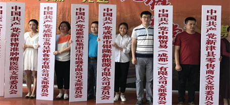 成都爱游戏（中国）集团生活电器有限公司党支部成立