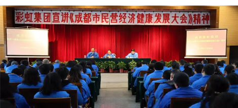 成都爱游戏（中国）集团召开干部大会传达成都市民营经济健康发展大会精神